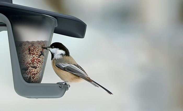 Karmnik dla ptaków Birdyfeed double IBFD, szary kamienny