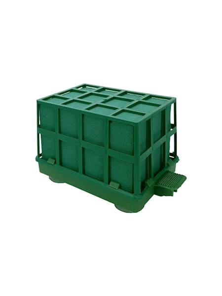 Autocorso Mini [27]