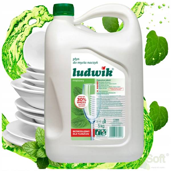 Ludwik Miętowy 5 l Płyn do mycia naczyń