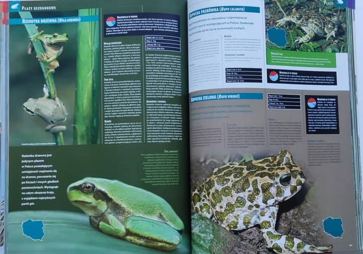 ILUSTROWANA ENCYKLOPEDIA ZWIERZĄT POLSKI