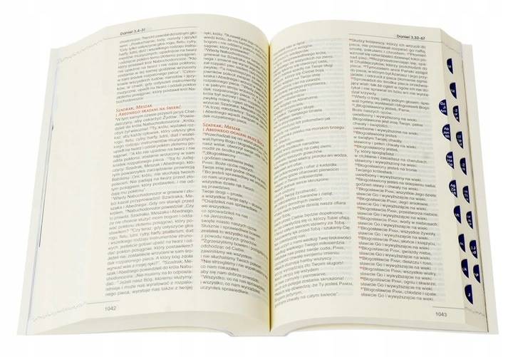 Biblia "z rybką" miękka, niebieska z paginatorami