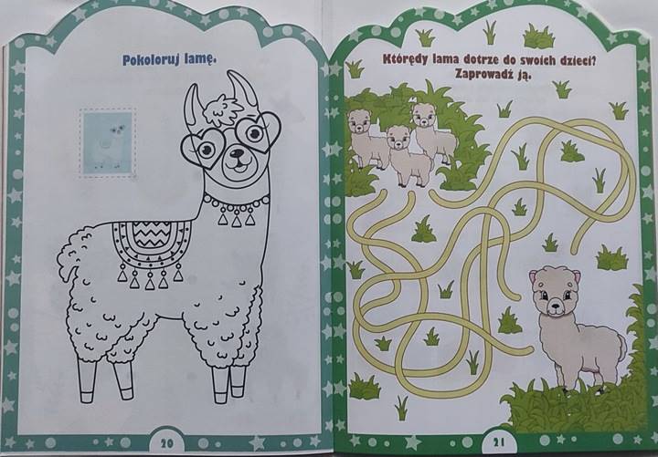 Główka pracuje z lamą odgaduje