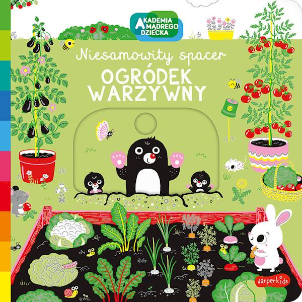 Akademia mądrego dziecka. Niesamowity spacer. Ogródek warzywny.