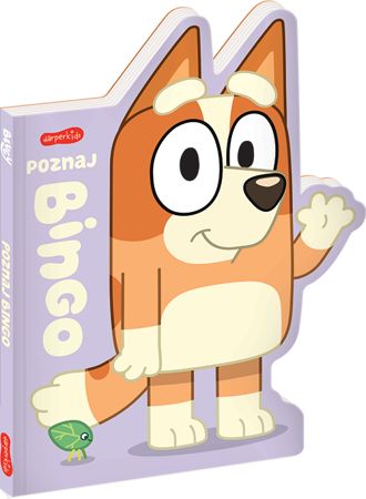 Poznaj Bingo