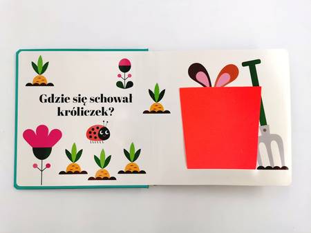 Akademia Mądrego Dziecka. Gdzie się schował kurczaczek.