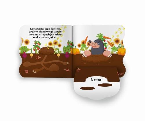 Zgadywanki: Kto tu mieszka
