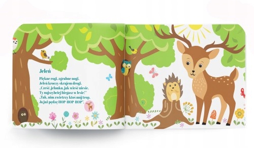 Książka Dźwiękowa - Co słychać w lesie?