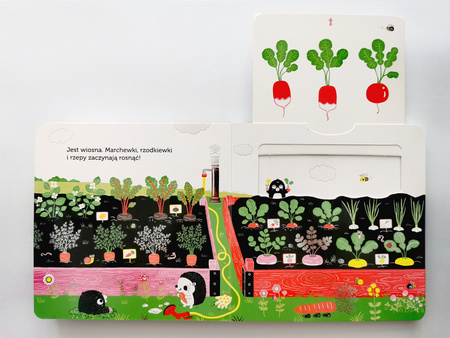 Akademia mądrego dziecka. Niesamowity spacer. Drzewo