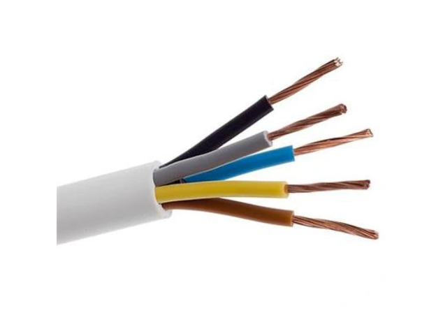 Przewód OWYżo 5x2,5   300/500V biały H05VV-F