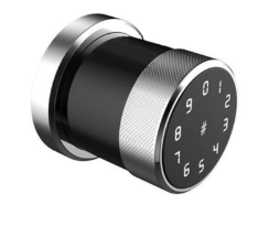 Gałka elektroniczna Delta GI20 SN KPL