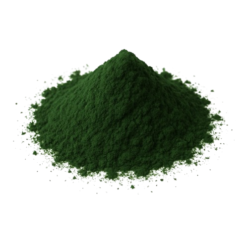 Chlorella CAS: 223749-81-3 • Ilość: 25 kg