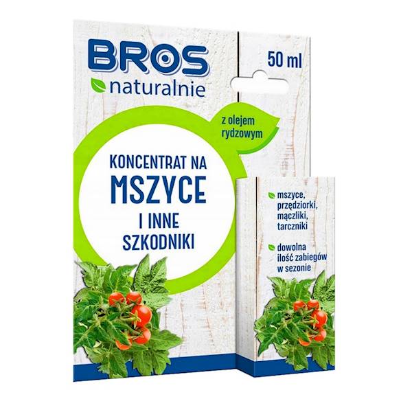 Zdjęcie 1