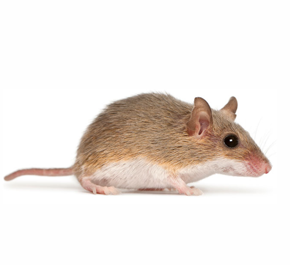 Zdjęcie 4