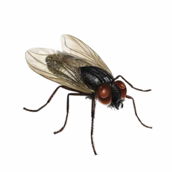 Zdjęcie 1