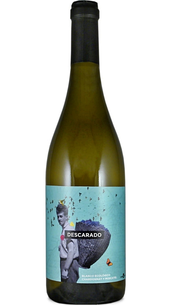 NODUS DESCARADO BLANCO 0,75L