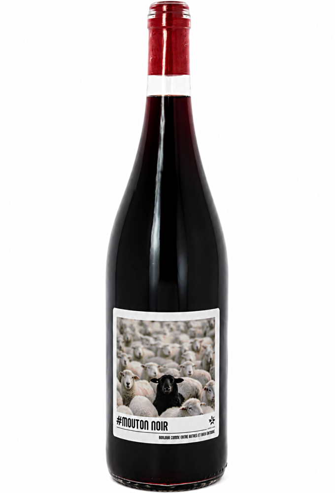 DOMAINE SAINT-JEAN LEZ DURANCE MOUTON NOIR ROUGE 0,75L