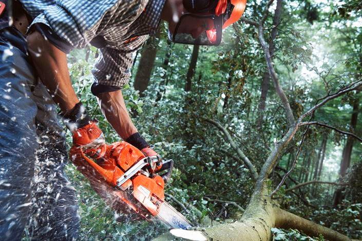 PILARKA HUSQVARNA 555