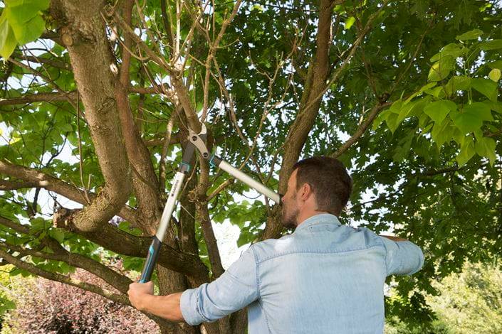 NOŻYCE DO GAŁĘZI GARDENA ENERGYCUT 750A