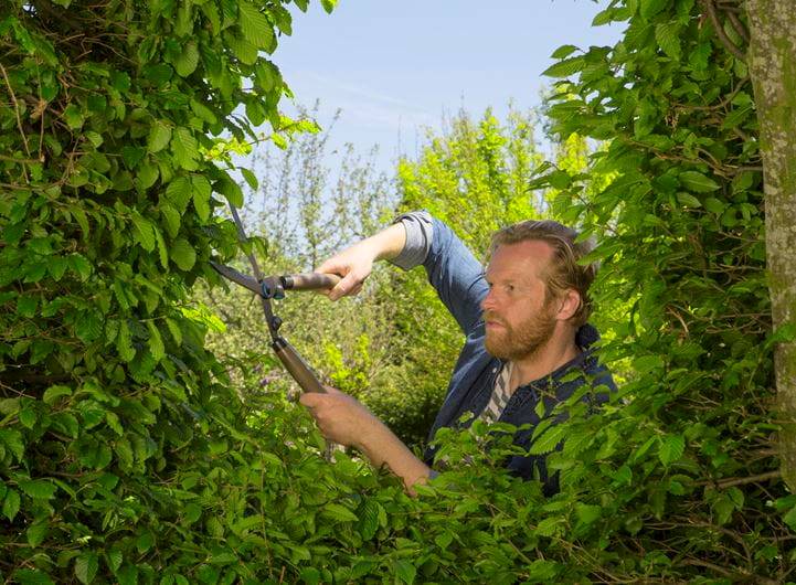 NOŻYCE DO ŻYWOPŁOTU NATURECUT