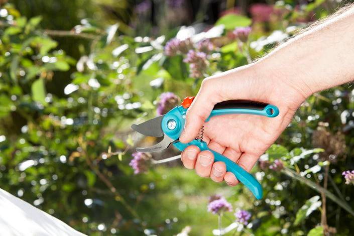SEKATOR GARDENA B/S