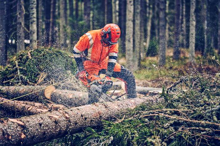 PILARKA HUSQVARNA 560XP Mark II