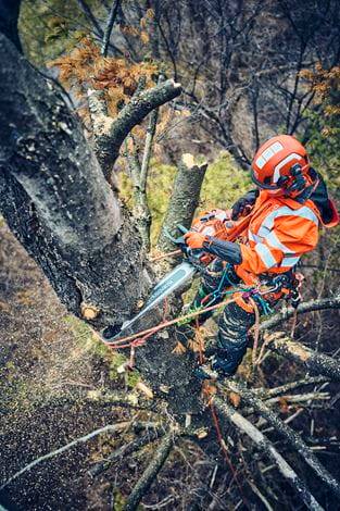 PILARKA HUSQVARNA 560XP Mark II