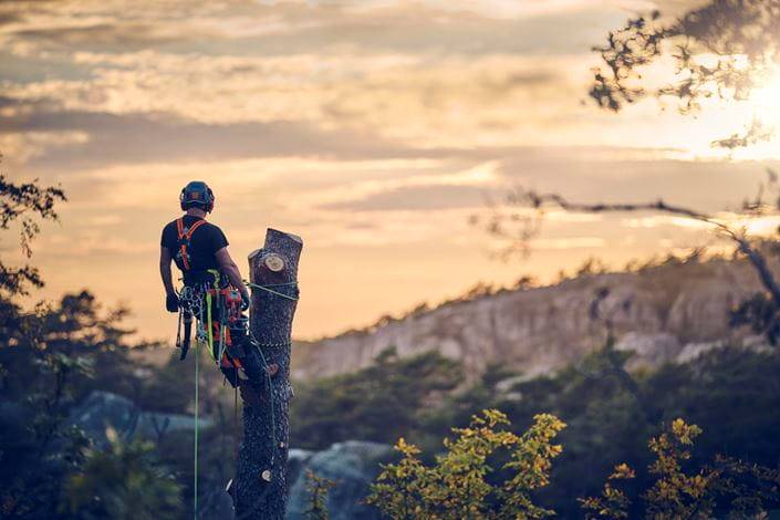 PILARKA HUSQVARNA T540XP Mark III