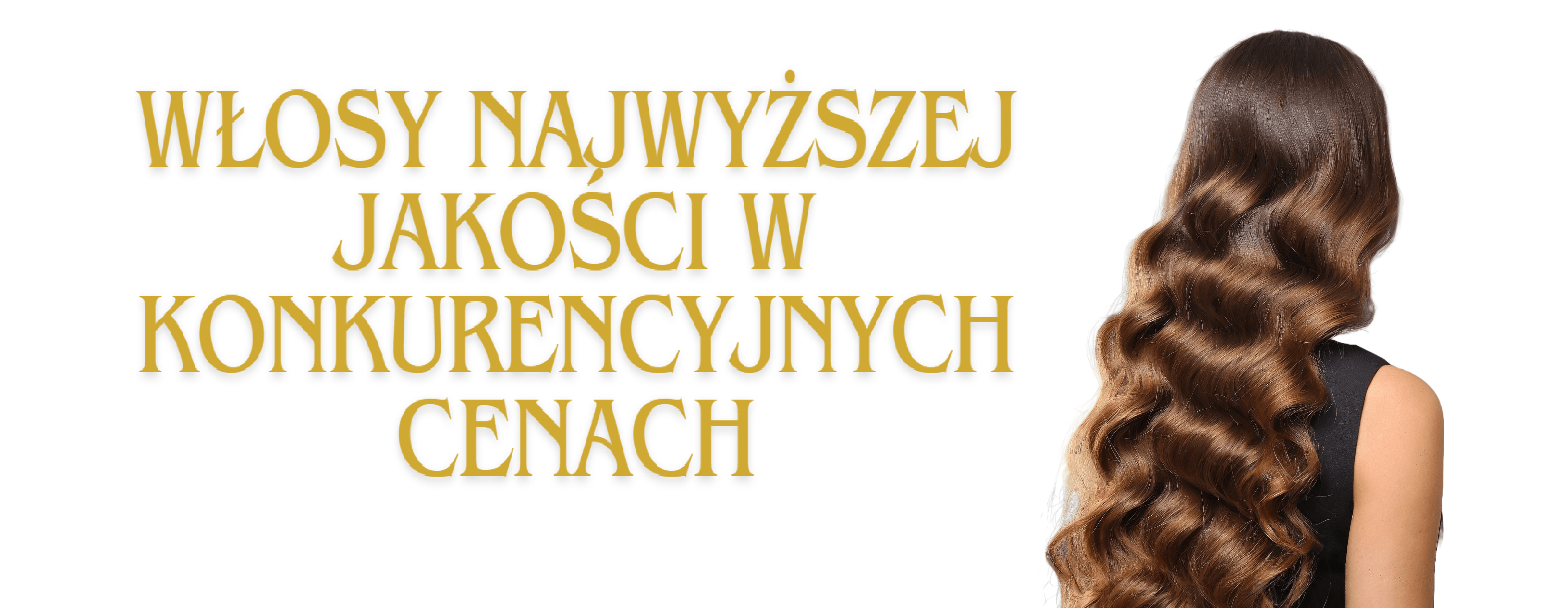 baner454-min-min.png