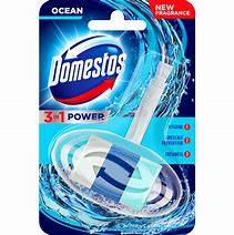 LEVER-DOMESTOS 35G ATLANTIC KOSZYK DO WC