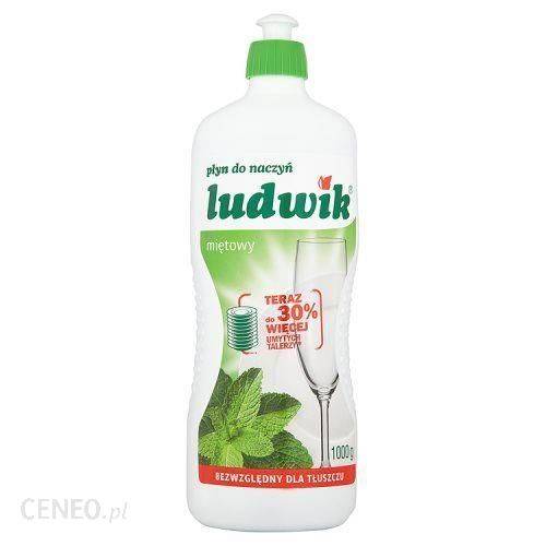INCO - LUDWIK 900G MIĘTA PŁ.D/NACZ.