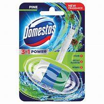 LEVER-DOMESTOS 35G PINE KOSZYK DO WC