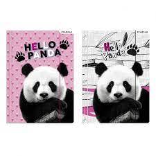 HEL-TECZKA Z GUMKĄ NADRUK PANDA A4 STARPAK A'1