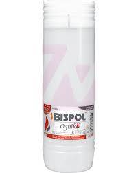 BISPOL-WKŁAD ZALEWANY OGNIK WP5N