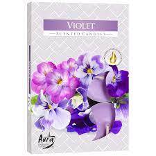BISPOL-PODGRZEWACZ ZAPACHOWY A'6 VIOLET P15-131