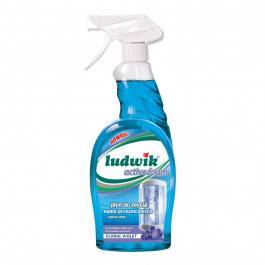 INCO - LUDWIK 600ML DO MYCIA KABIN PRYSZNICOWYCH