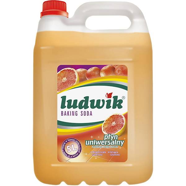INCO - LUDWIK 5L PŁYN UNIWERSALNY SODA