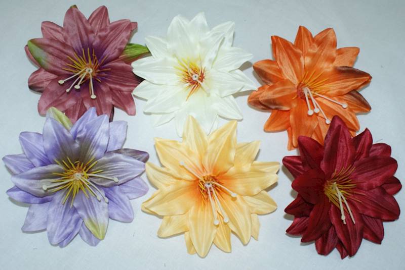 Hibiskus wyr.12szt  AN-G309  8,30