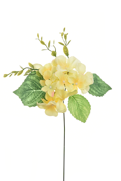 Hortensia 12szt LIU287  30,90