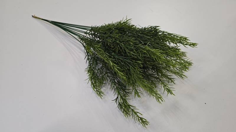 Asparagus 12szt AN-Z721  11,-