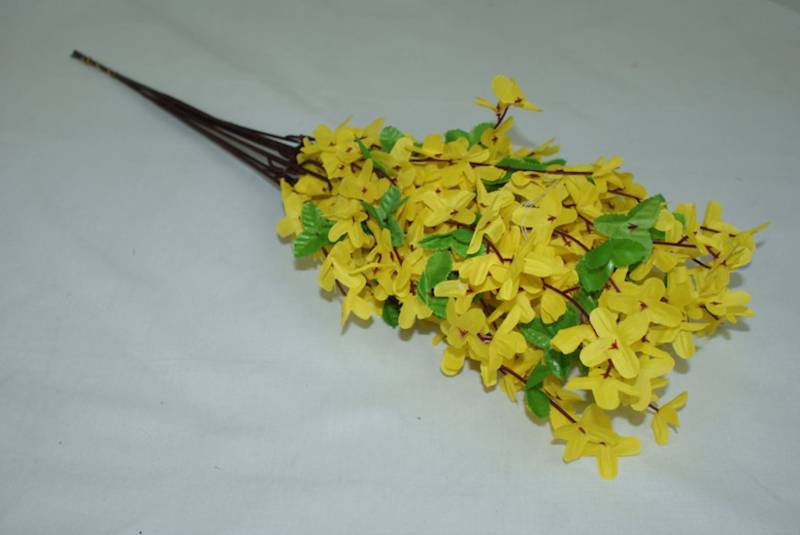 Forsycja 12szt AN-J004  10,90