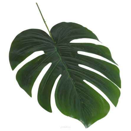 Monstera liść 12szt TG-RX069  20,30
