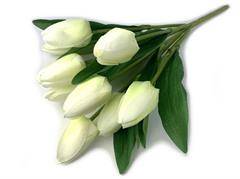 Buk.tulipan 9 JU-HM303217  12,40