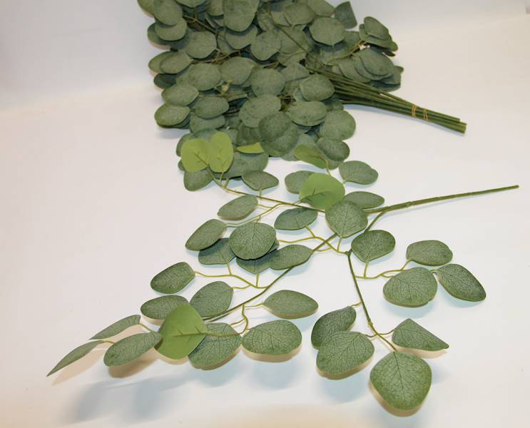 Eukaliptus gał. EUK003  10,90