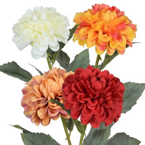 Dalia BM-K489  4,-