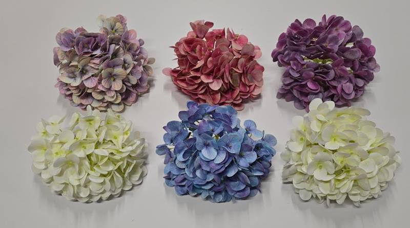 Hortensia wyr.AN-T982509  6,50
