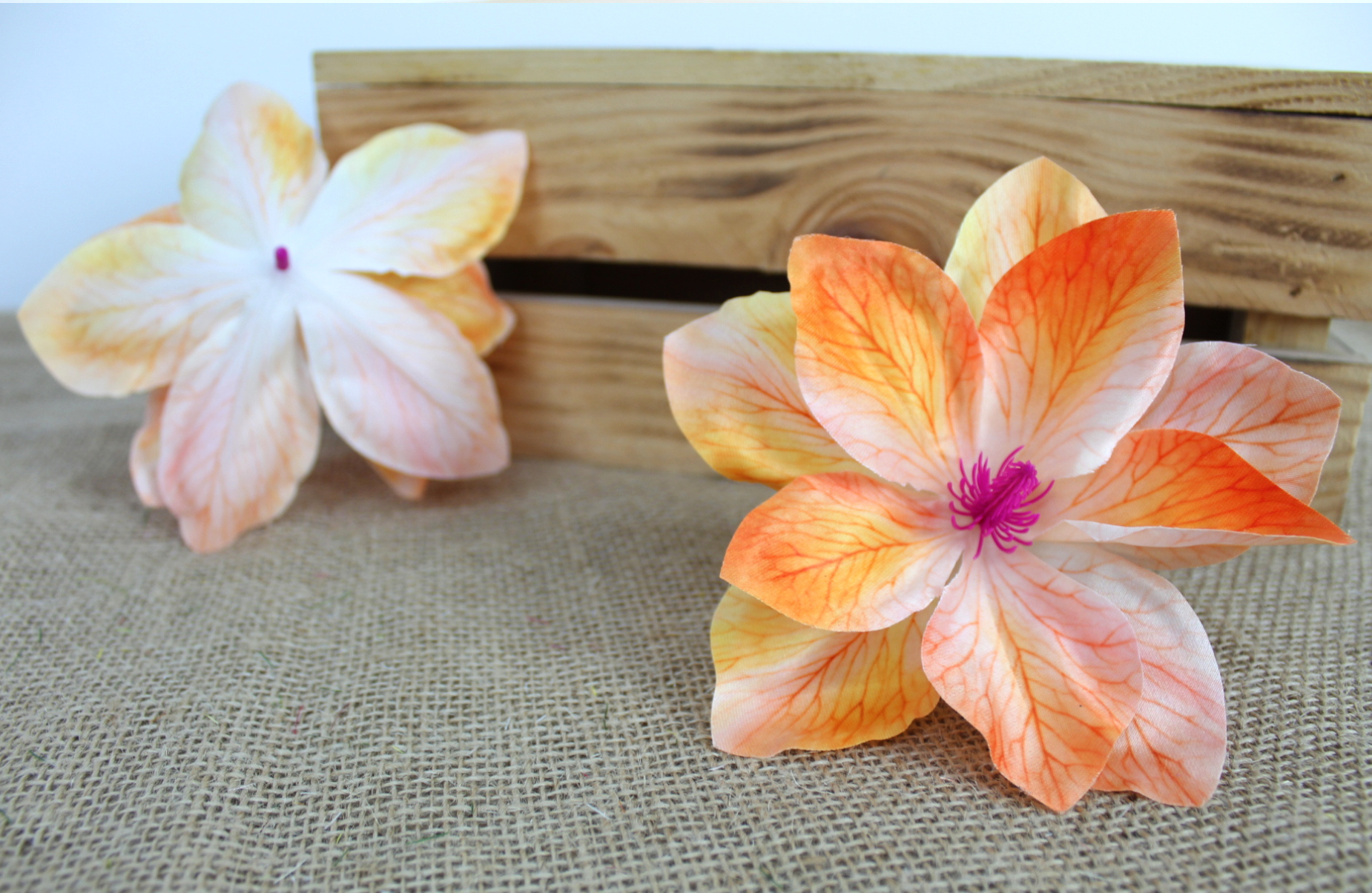 Magn.wyr.12szt 7&7-WA015  10,70