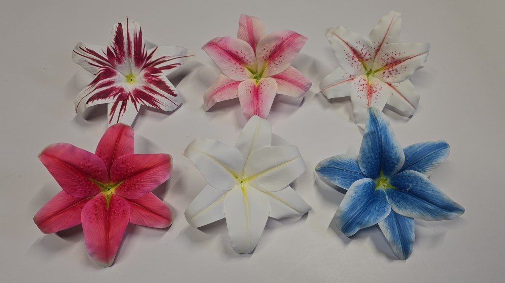 Lilia wyr.12szt AN-T982513   22,20