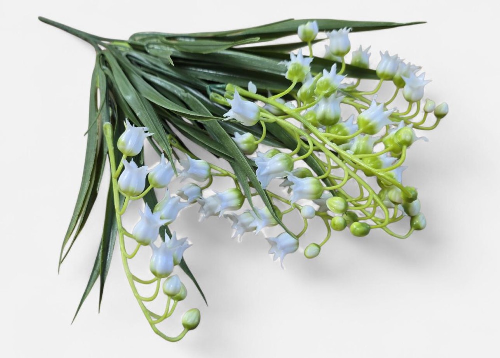 B.konwalia AN-Z6806   4,50