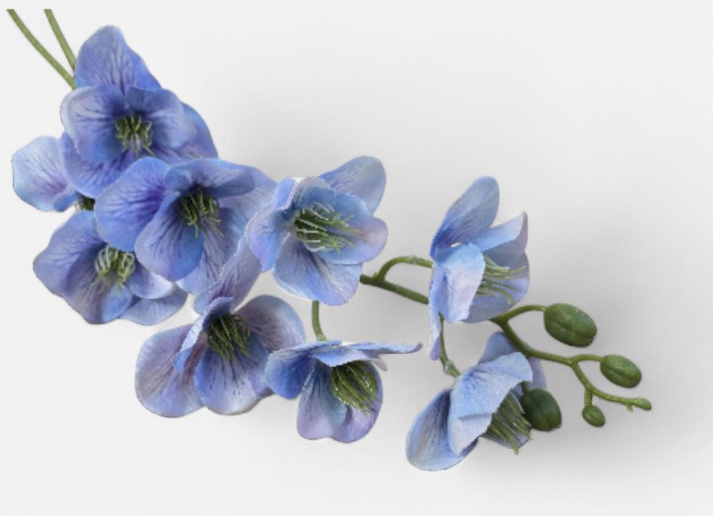 Storczyk AN-T58253748   7,50