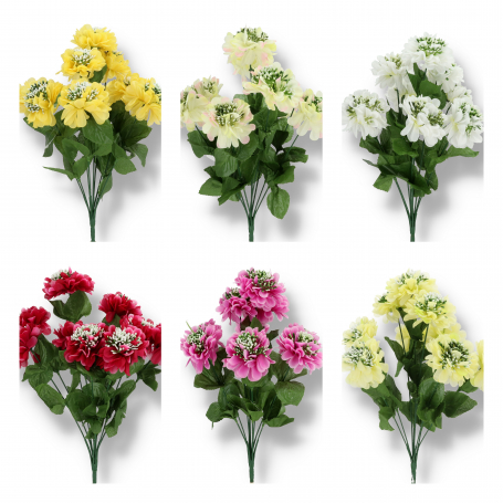 Buk.cynia AM-2017007   8,60